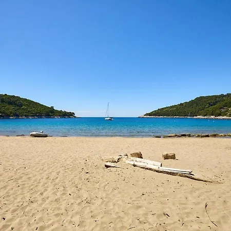 Lejlighed 1 Bedroom Lovely In