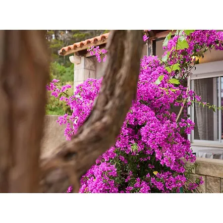 Apartment Lovely In With Kitchen Saplunara