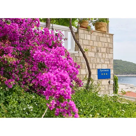 1 Bedroom Lovely In Saplunara