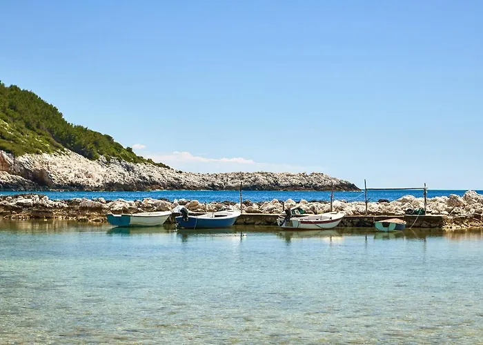 Daire 1 Bedroom Lovely In *