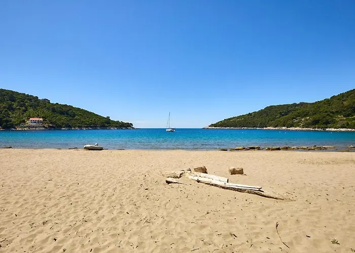 Daire 1 Bedroom Lovely In