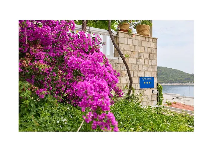 1 Bedroom Lovely In Saplunara